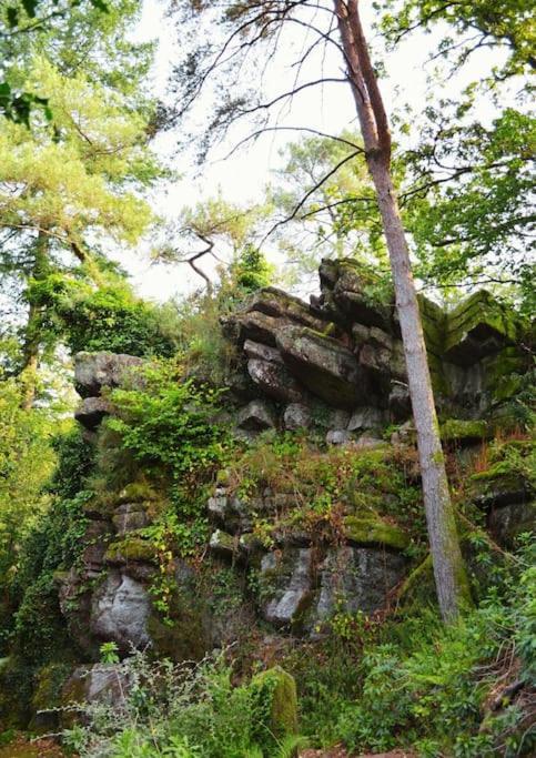 Chalet Cosy Au Coeur De La Foret De Broceliande Beignon ภายนอก รูปภาพ