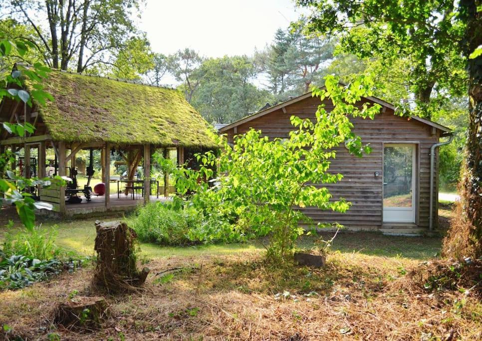 Chalet Cosy Au Coeur De La Foret De Broceliande Beignon ภายนอก รูปภาพ
