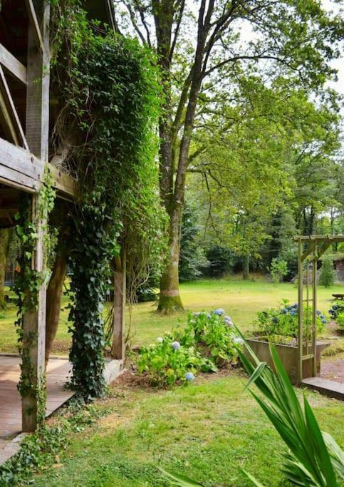 Chalet Cosy Au Coeur De La Foret De Broceliande Beignon ภายนอก รูปภาพ