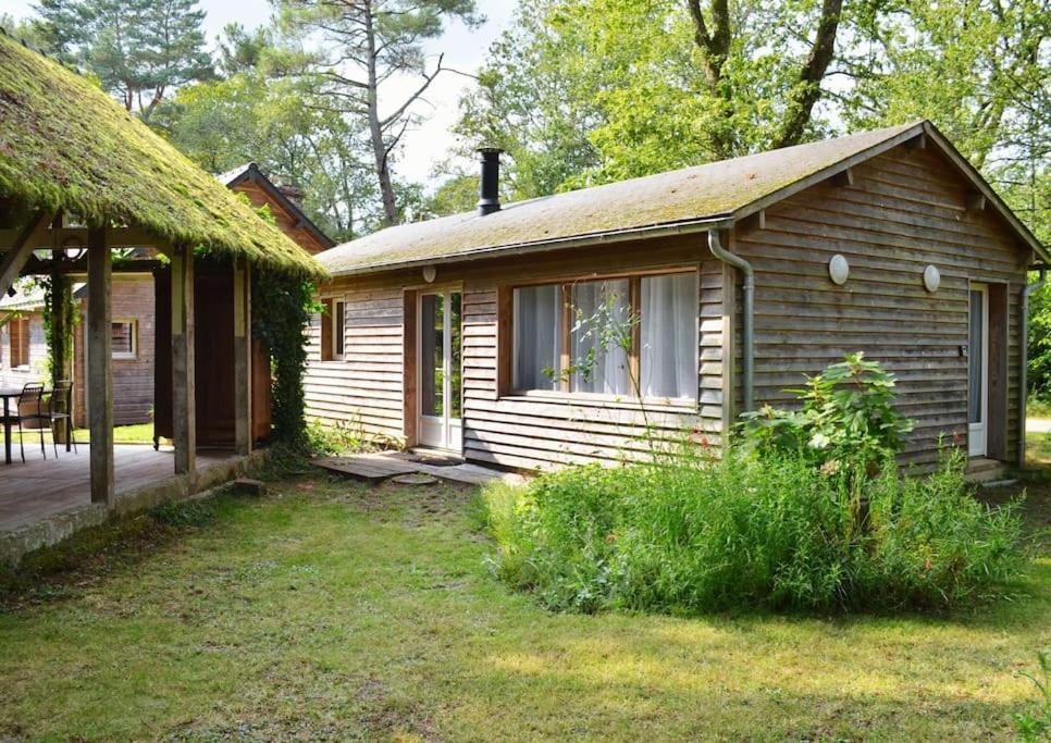 Chalet Cosy Au Coeur De La Foret De Broceliande Beignon ภายนอก รูปภาพ